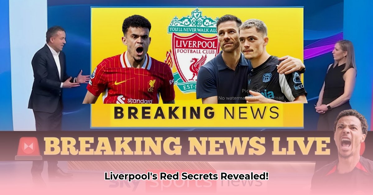 all-red-video-liverpool